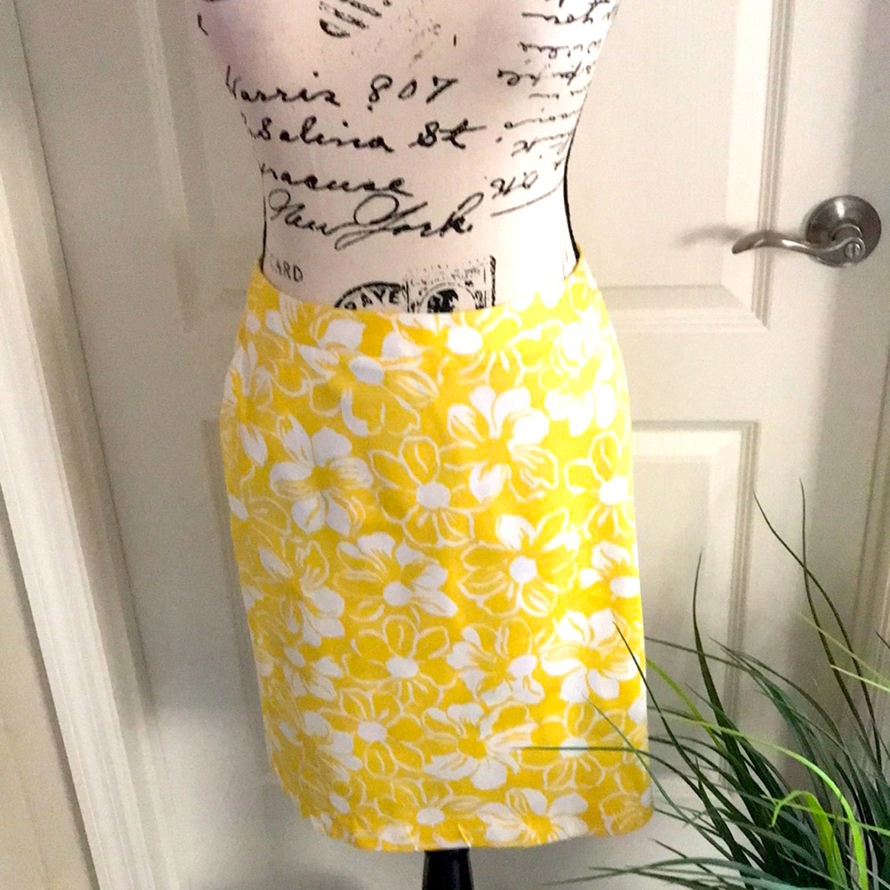 Brooks Brothers skirt. NWOT